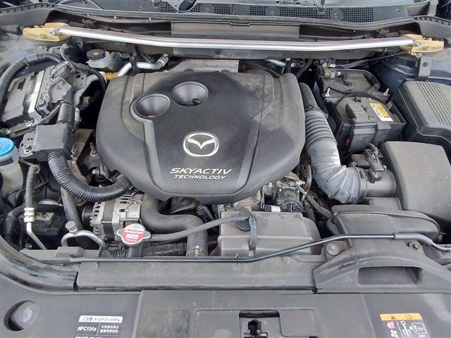 08.jpg
