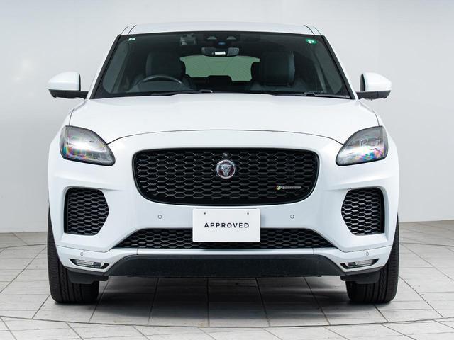 24089975_carP_l_19.jpg