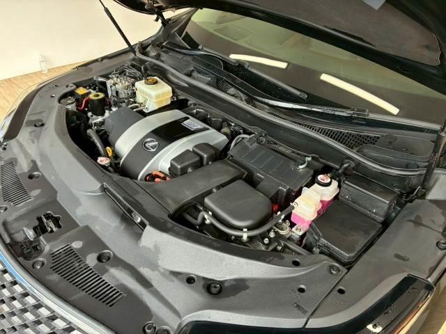 22199853_carP_l_20.jpg