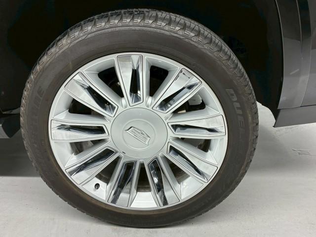 24829255_carP_l_14.jpg