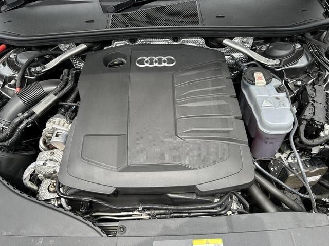 25152953_carP_l_11.jpg
