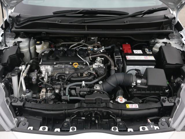 24040091_carP_l_17.jpg