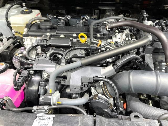 25506744_carP_l_16.jpg