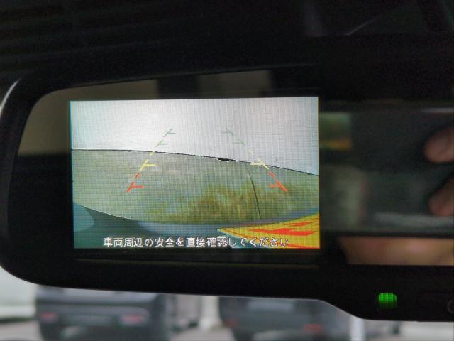 23965909_carP_l_10.jpg
