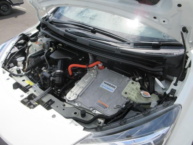 25774954_carP_l_20.jpg