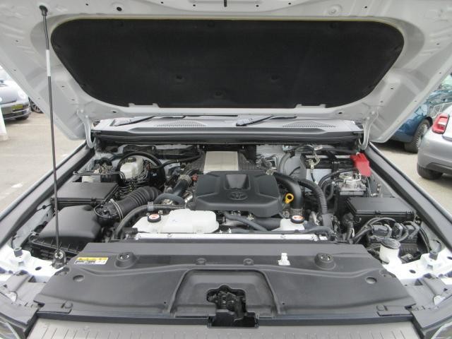 24867673_carP_l_17.jpg