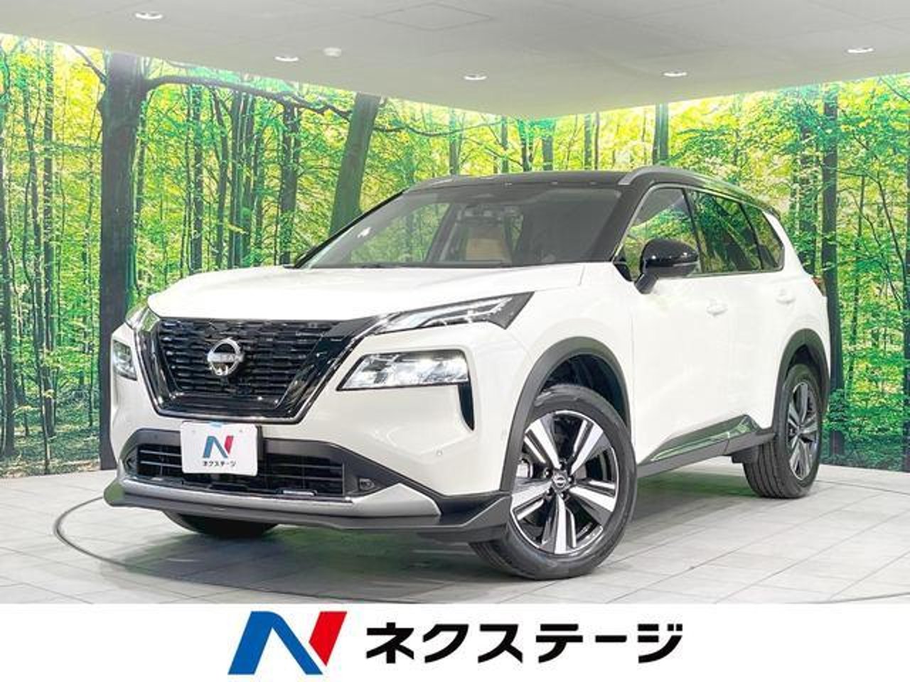 2025 Nissan Xtrail Standard for sale in Kenya