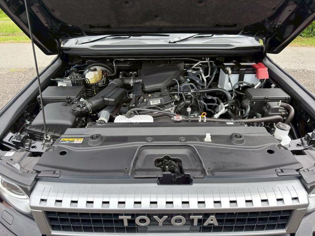 24320842_carP_l_16.jpg