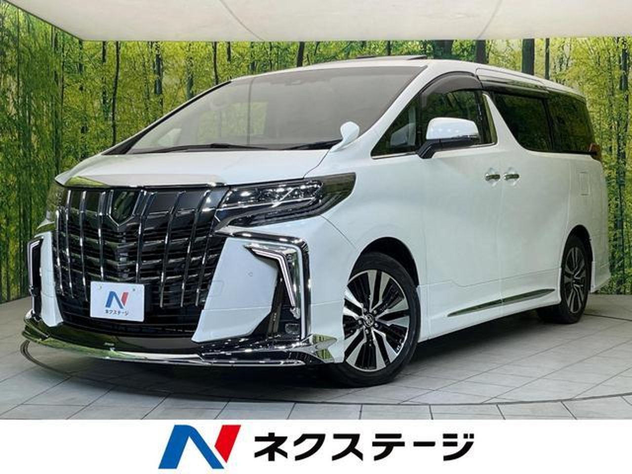 2021 Toyota Alphard, photo 1 of 1