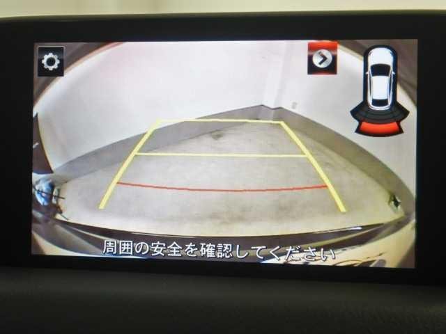 26312872_carP_l_4.jpg