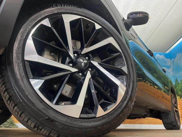 24360240_carP_l_9.jpg