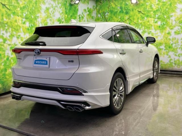 24968244_carP_l_15.jpg