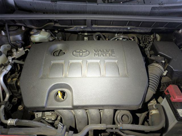 08.jpg