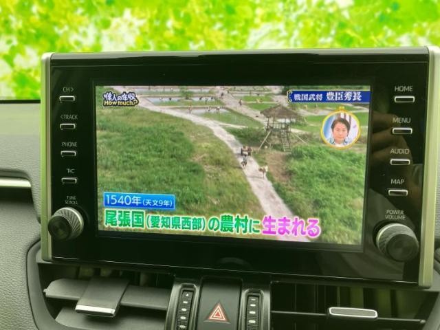 25678812_carP_l_6.jpg