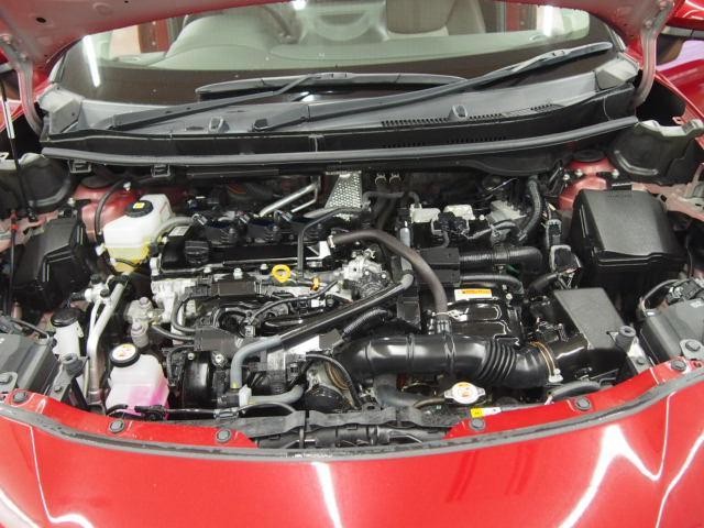 25414925_carP_l_17.jpg