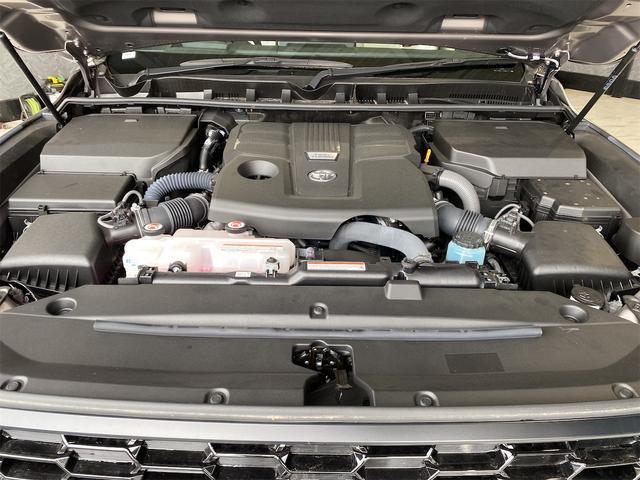 24456004_carP_l_12.jpg