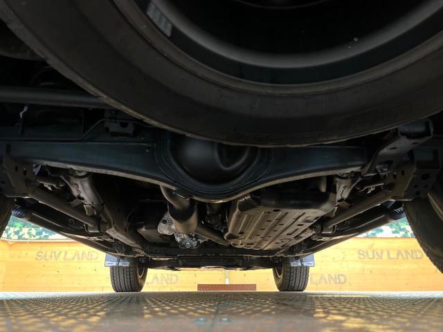 24664475_carP_l_18.jpg