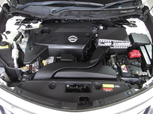 26225556_carP_l_20.jpg