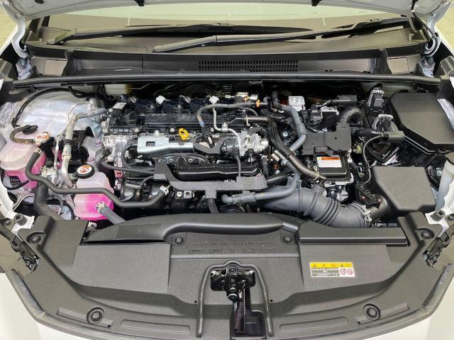 24746834_carP_l_18.jpg