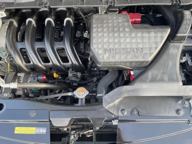 26710526_carP_l_18.jpg