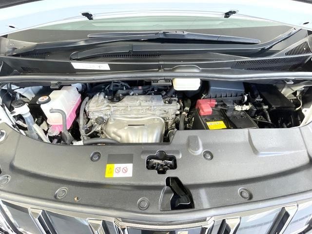 25076334_carP_l_16.jpg