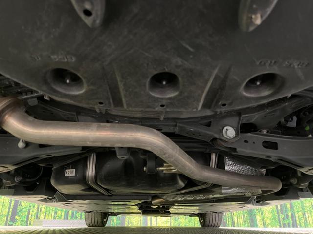24030355_carP_l_18.jpg