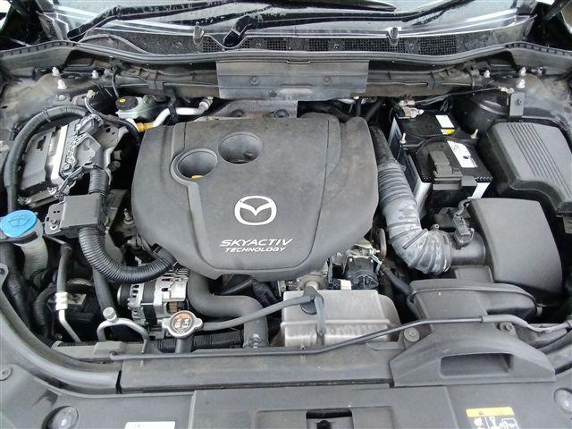 08.jpg