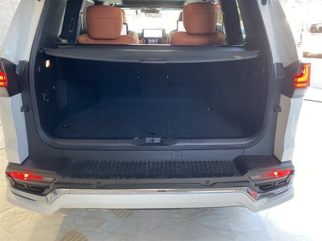 25419784_carP_l_16.jpg