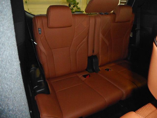 24546766_carP_l_16.jpg