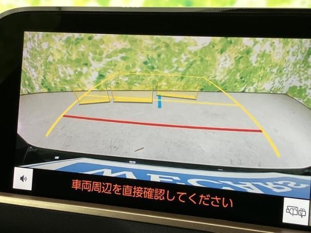 24731515_carP_l_7.jpg