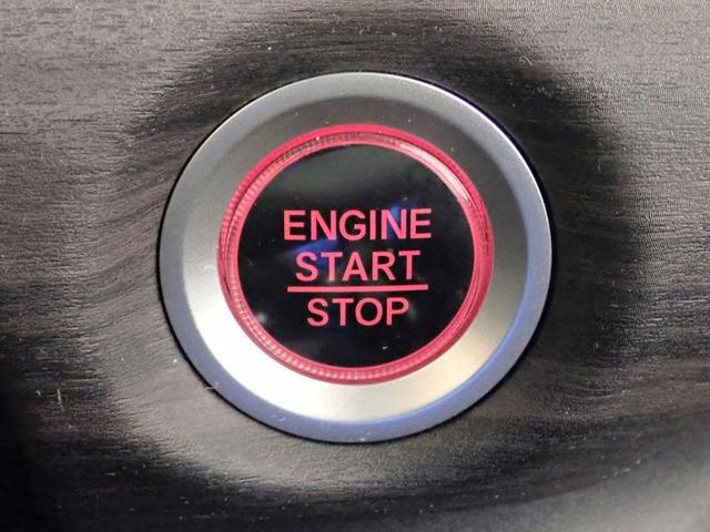 0206389A30260110W00413.jpg