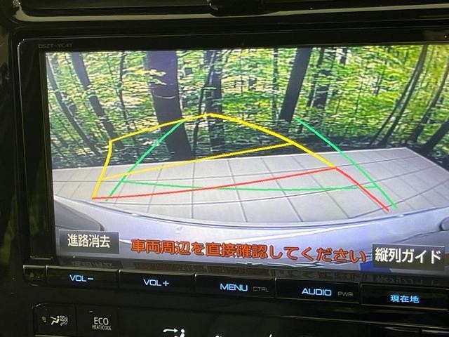 25714257_carP_l_10.jpg