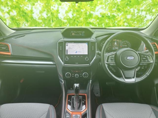 24321121_carP_l_19.jpg