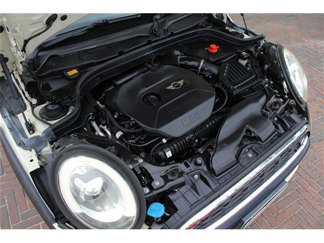 24224472_carP_l_11.jpg