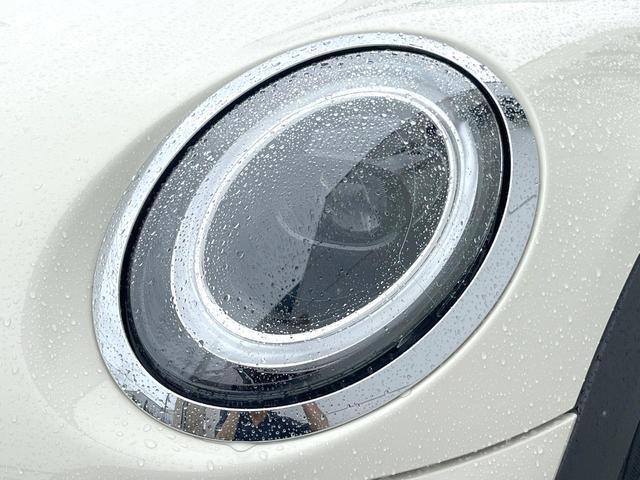 24849113_carP_l_7.jpg