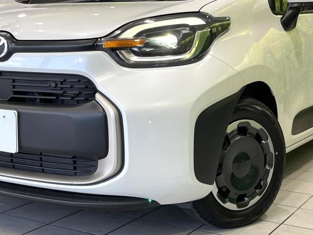 25117736_carP_l_7.jpg