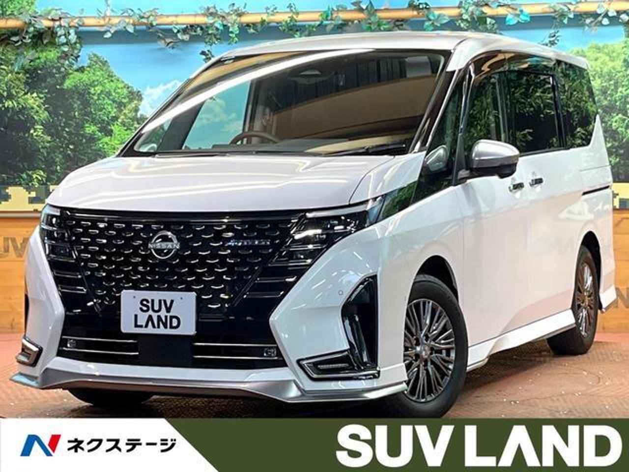 2024 Nissan Serena, photo 1 of 1