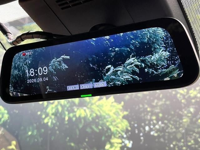 26251585_carP_l_14.jpg