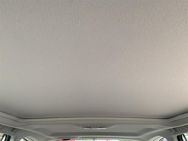 25031185_carP_l_7.jpg