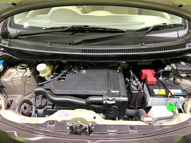 25904123_carP_l_8.jpg
