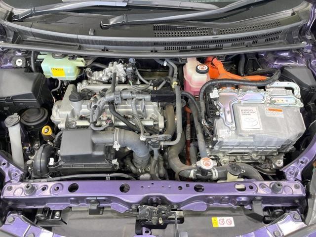 25904124_carP_l_16.jpg