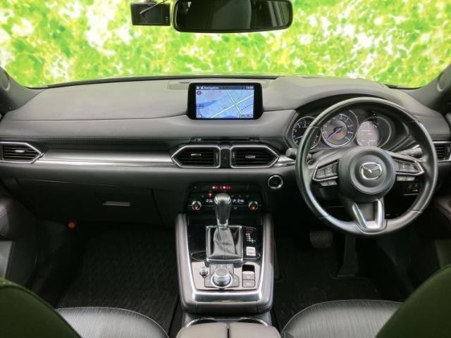 24731563_carP_l_4.jpg