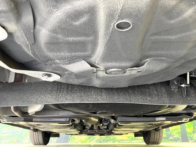 25324068_carP_l_18.jpg