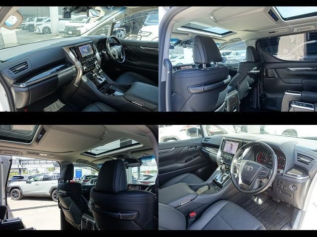 23753651_carP_l_15.jpg