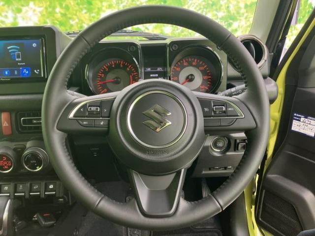 24731590_carP_l_6.jpg