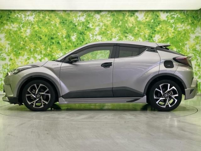 25679368_carP_l_3.jpg