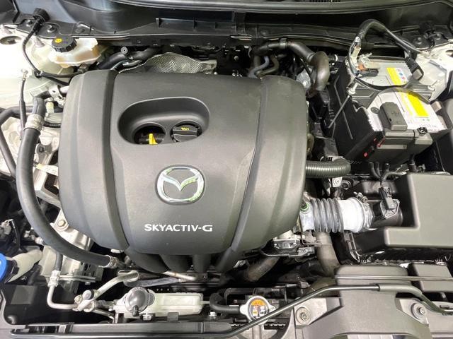 25632925_carP_l_16.jpg