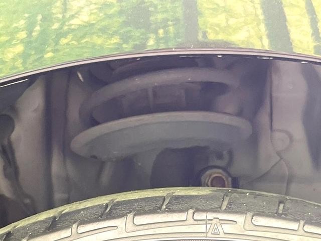 25506858_carP_l_12.jpg