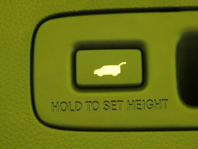 26224813_carP_l_7.jpg