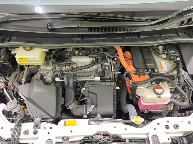 26293230_carP_l_16.jpg